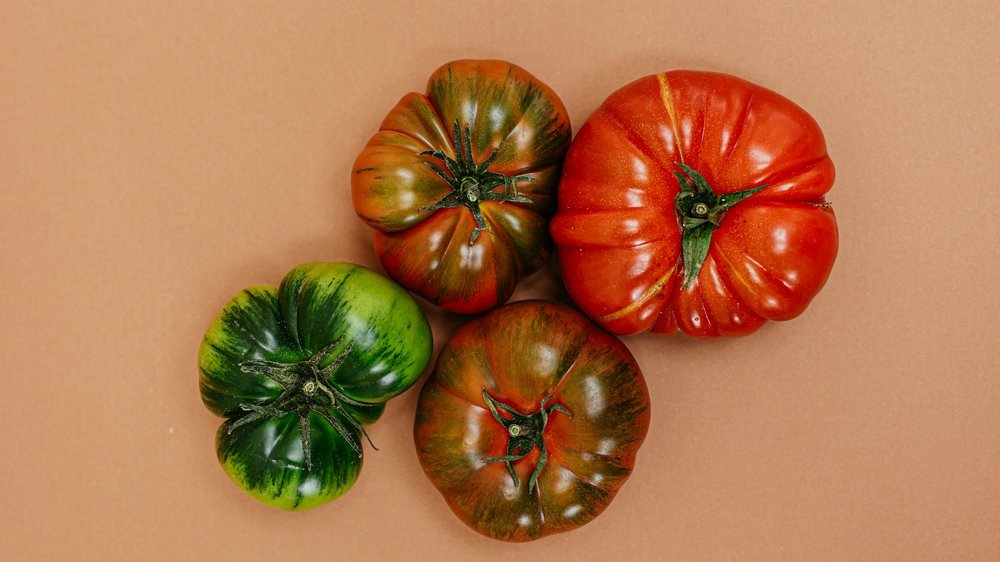 brauchen tomaten sonne um rot zu werden
