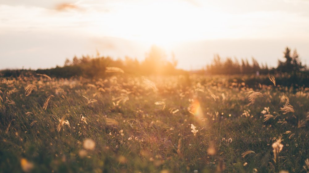 die sonne tönt nach alter weise