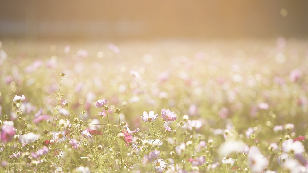 gartenbeleuchtung solar ideen