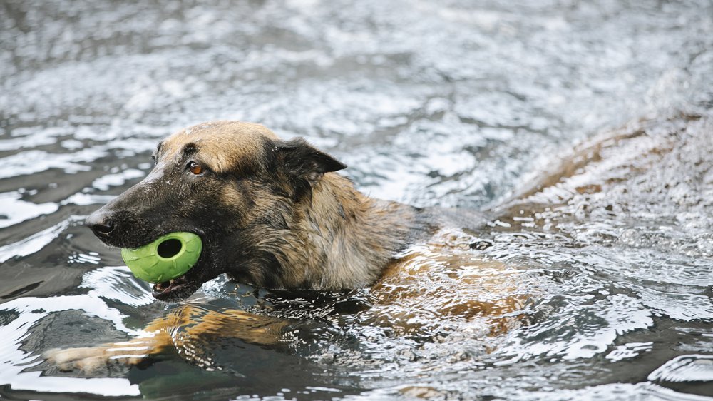 solar schwimmkugeln